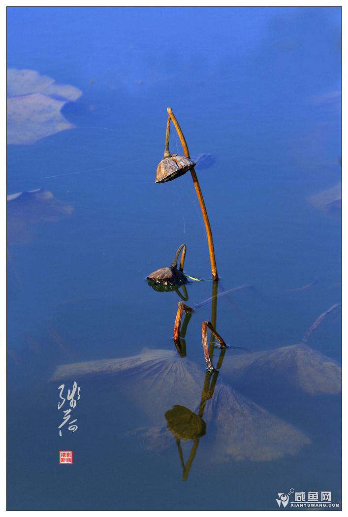 2Y5A3051_副本.jpg