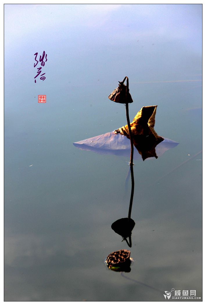 2Y5A3056_副本.jpg