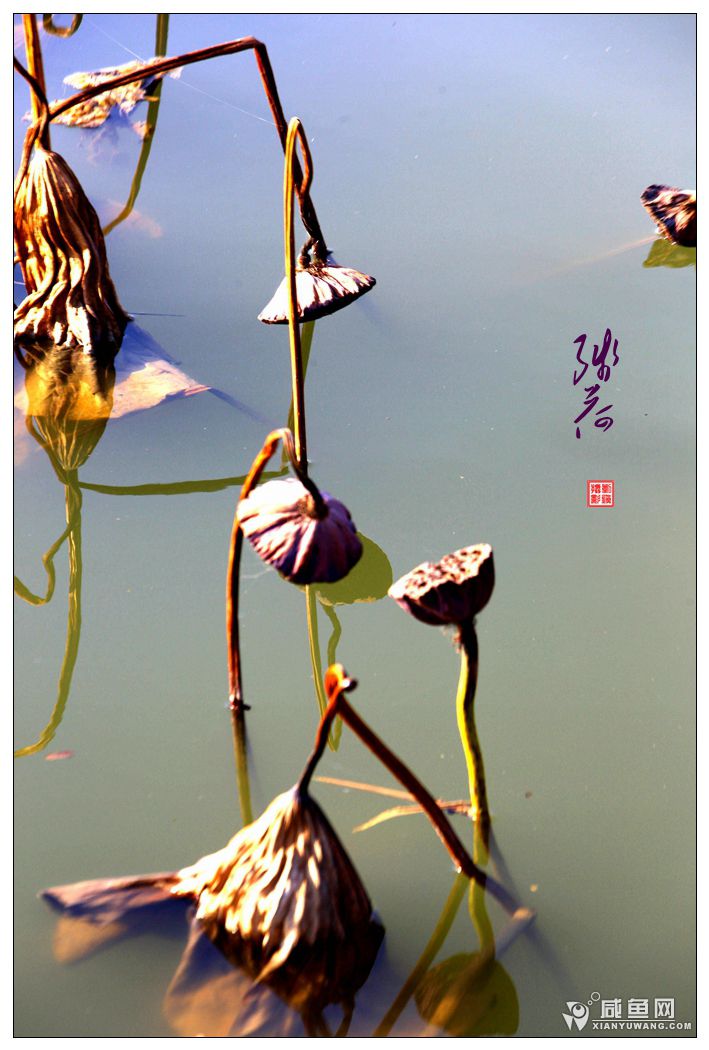 2Y5A2999_副本.jpg