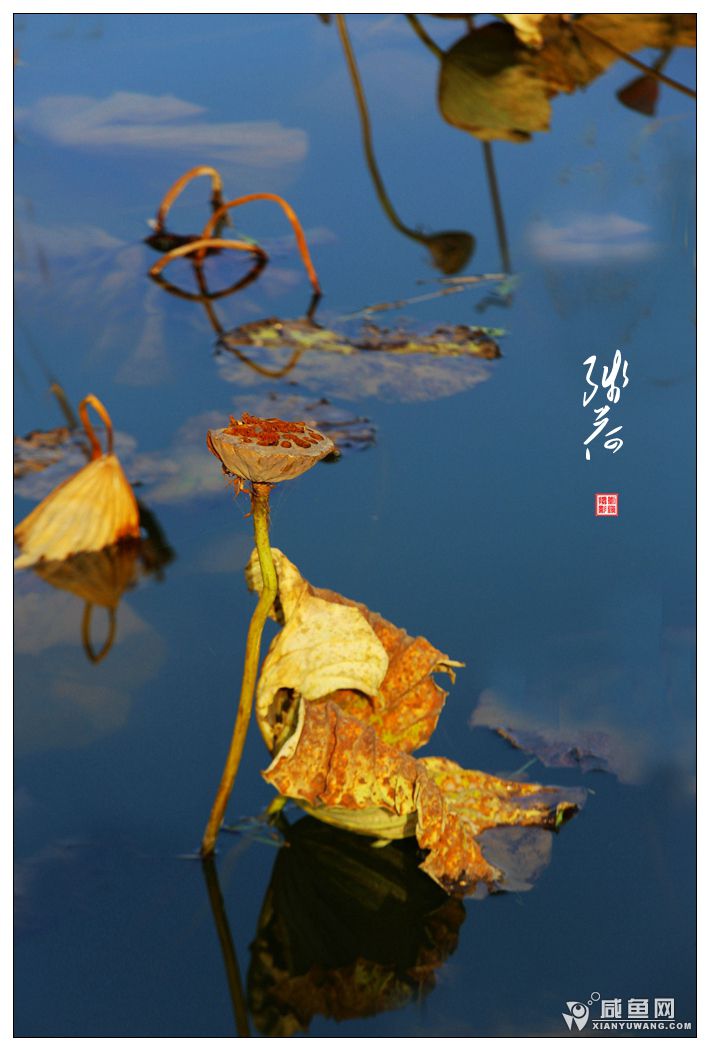 2Y5A3065_副本.jpg