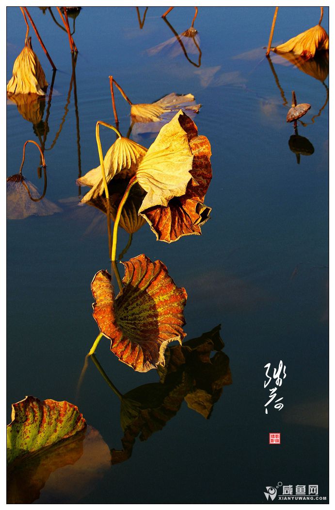 2Y5A3078_副本.jpg