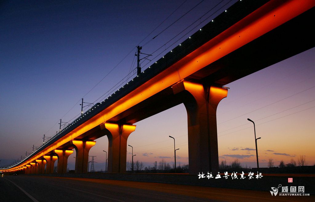 2Y5A1005_副本.jpg