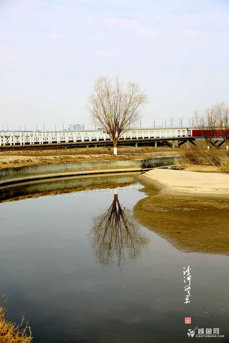 2Y5A4717_副本.jpg