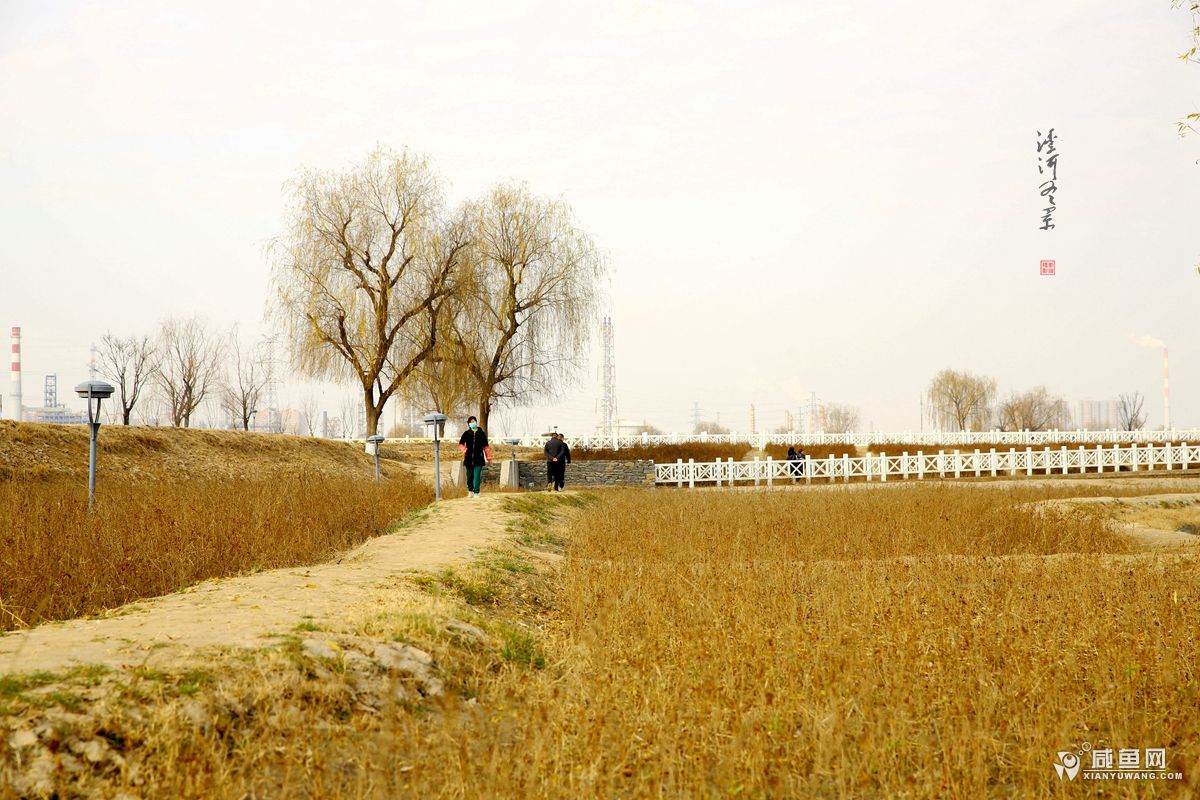 2Y5A4713_副本.jpg