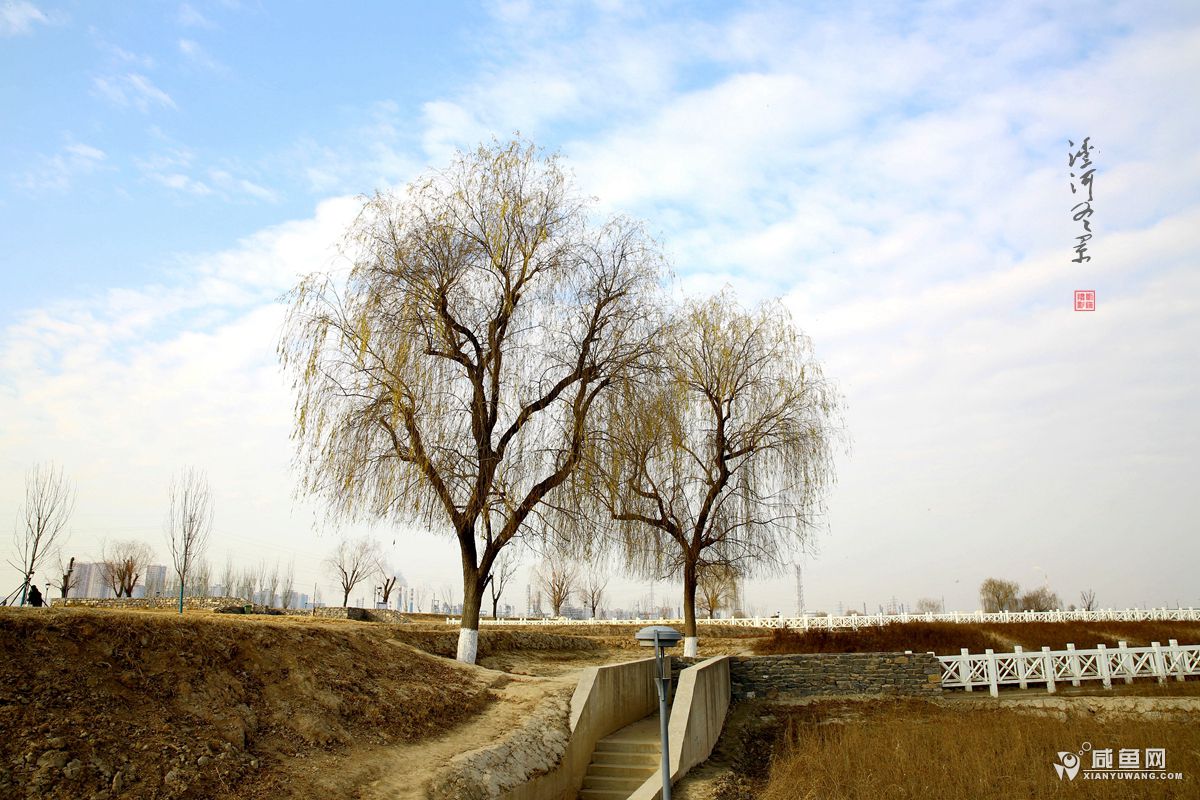 2Y5A4729_副本.jpg