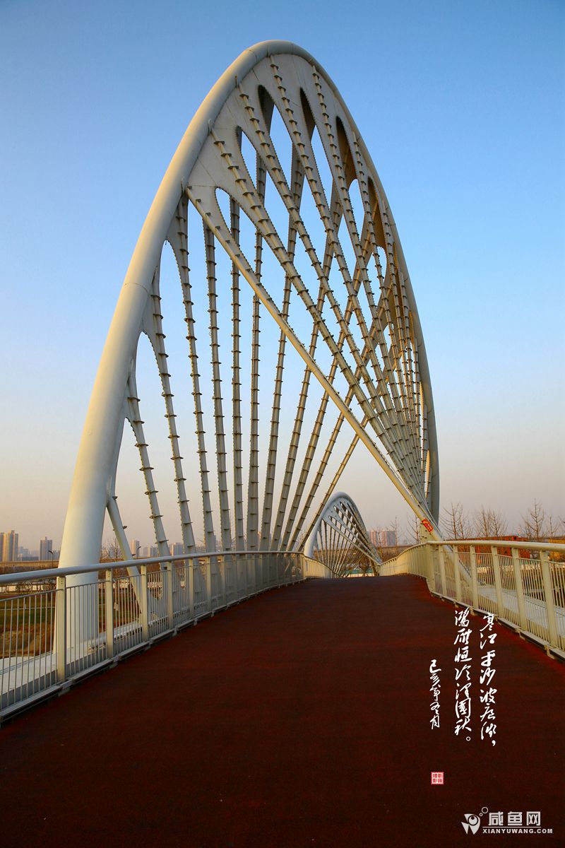 2Y5A4870_副本.jpg
