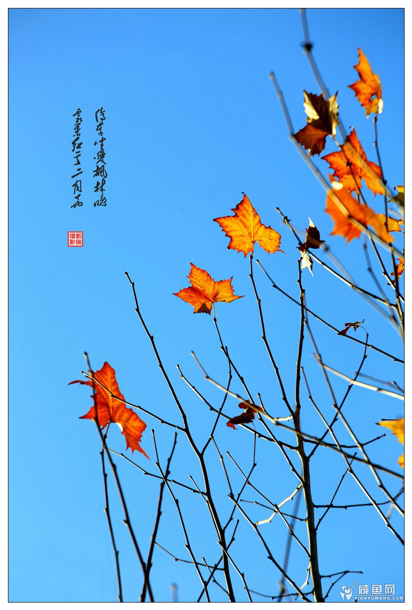 2Y5A4536_副本.jpg