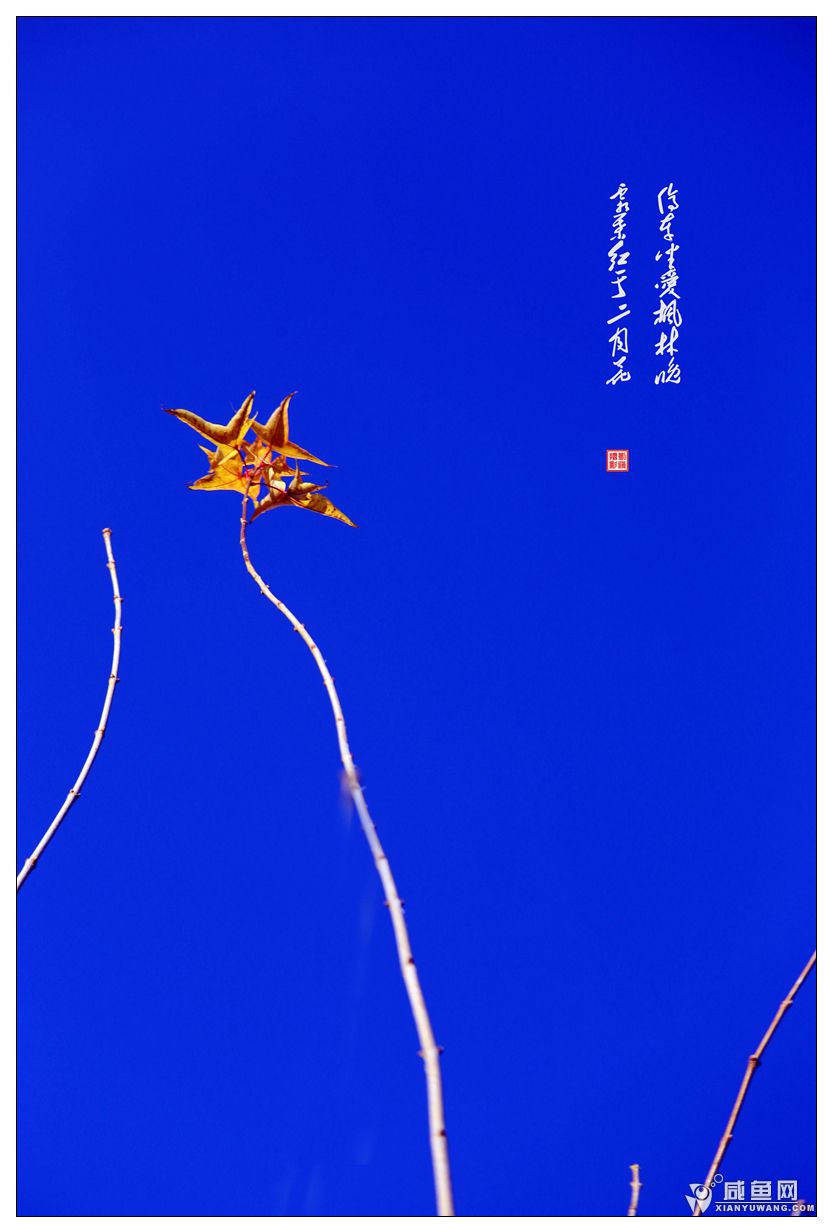 2Y5A4533_副本.jpg