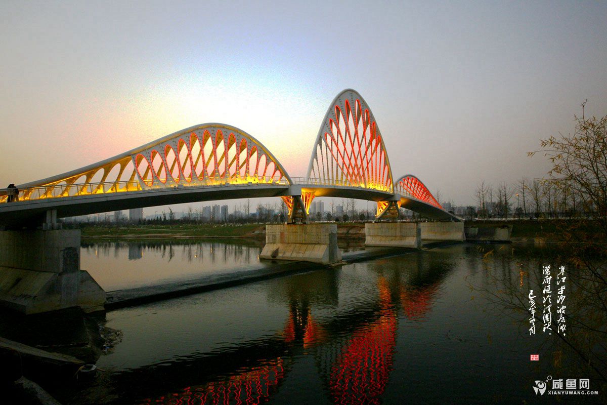 2Y5A4982_副本.jpg