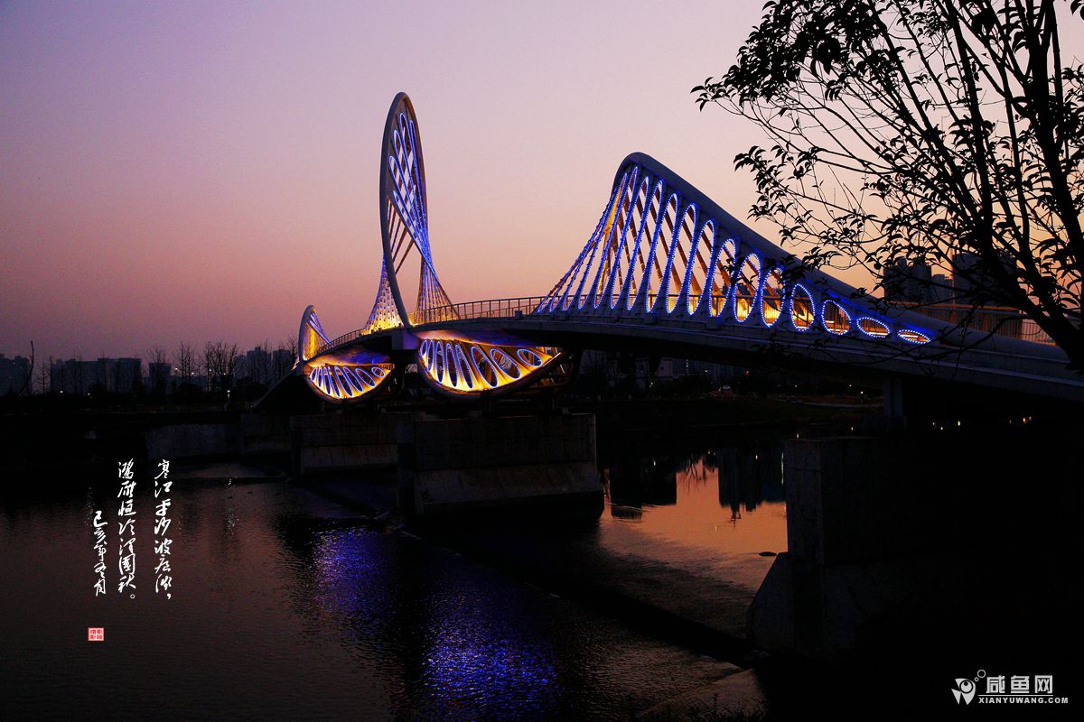 2Y5A5010_副本.jpg