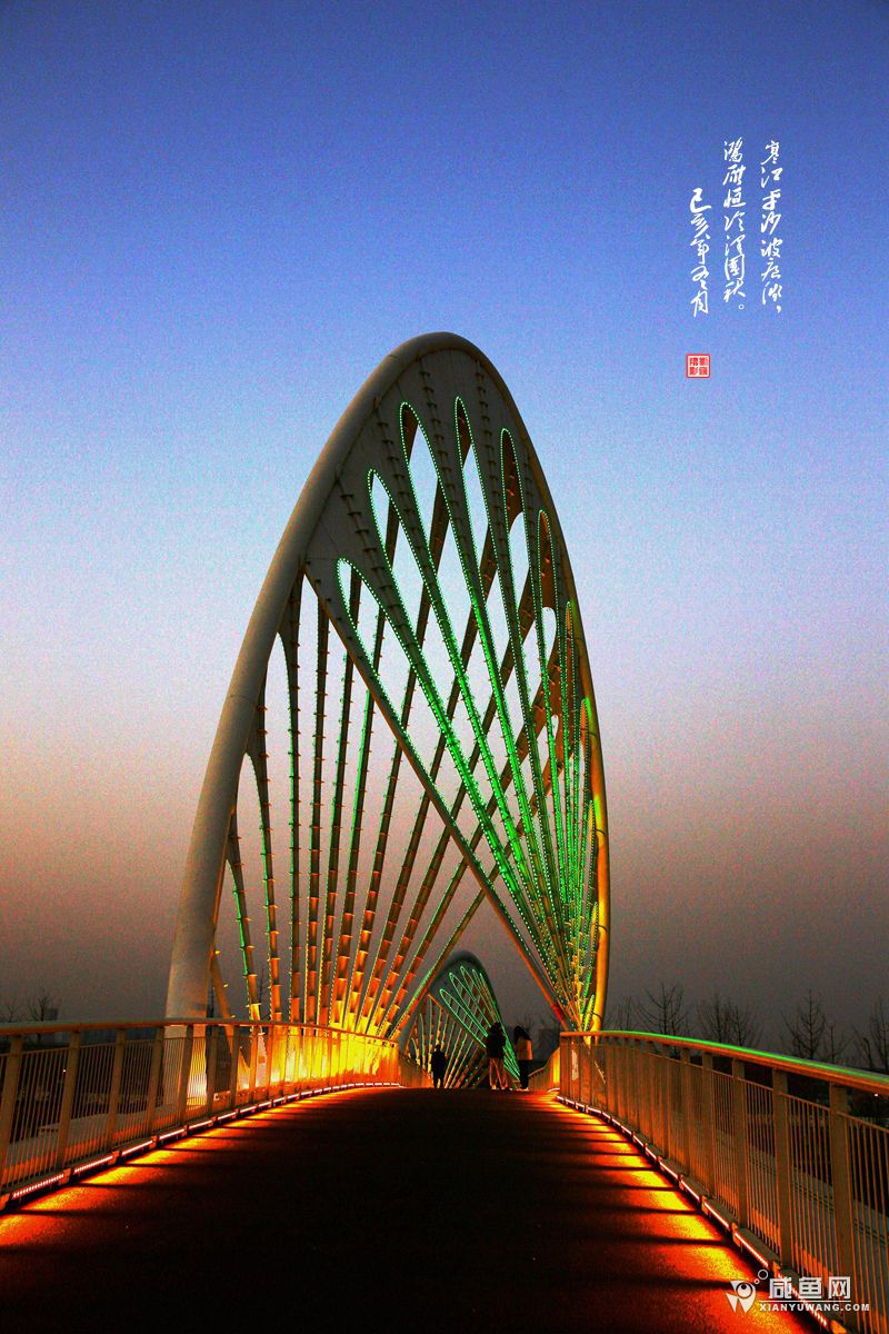 2Y5A5000_副本.jpg