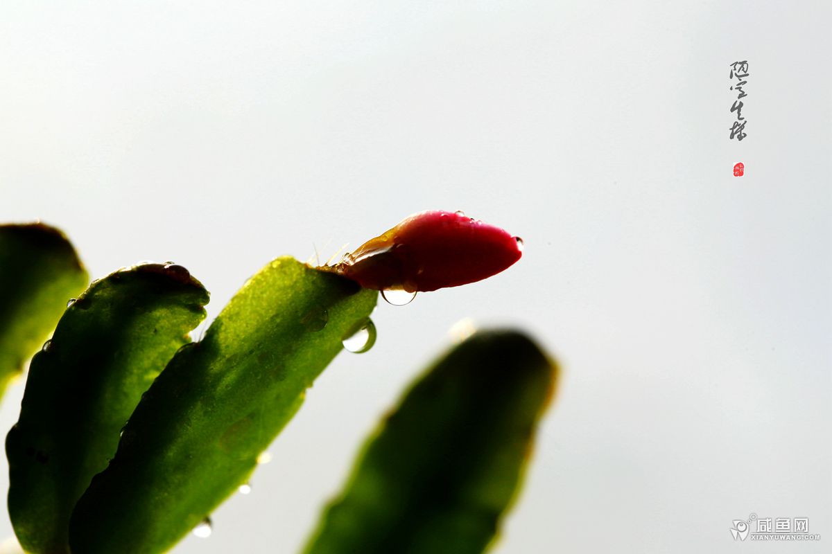 2Y5A5308_副本.jpg