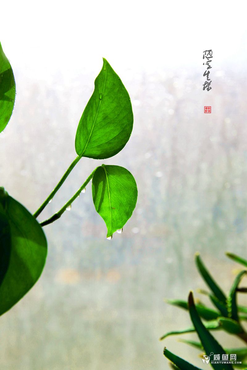 2Y5A5328_副本.jpg