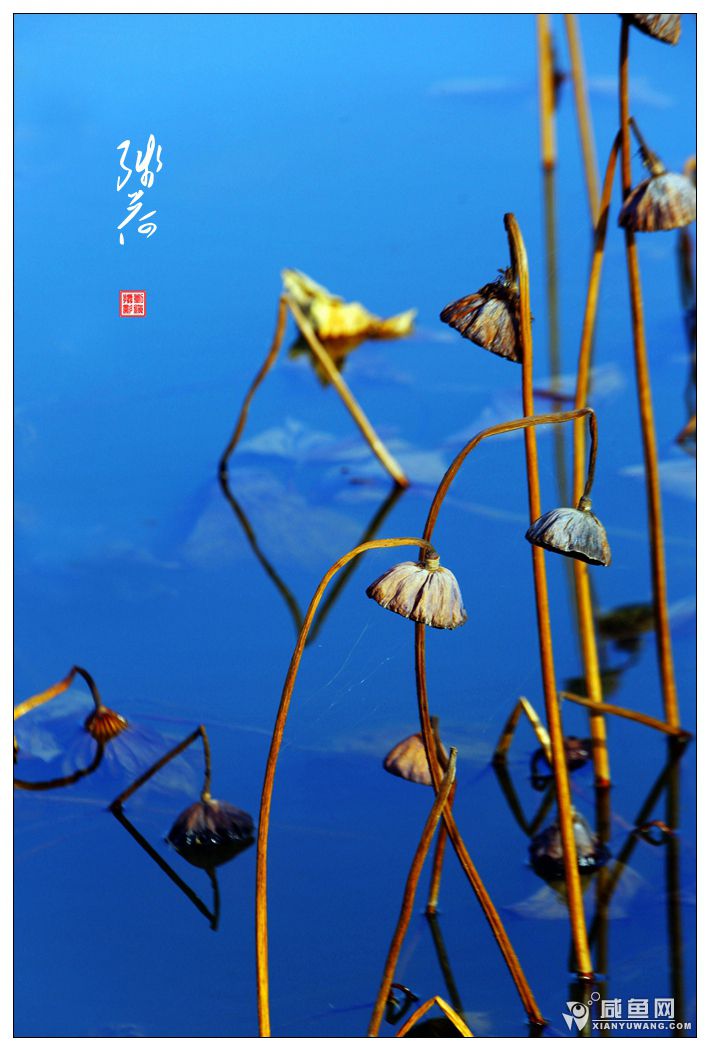 2Y5A3037_副本.jpg