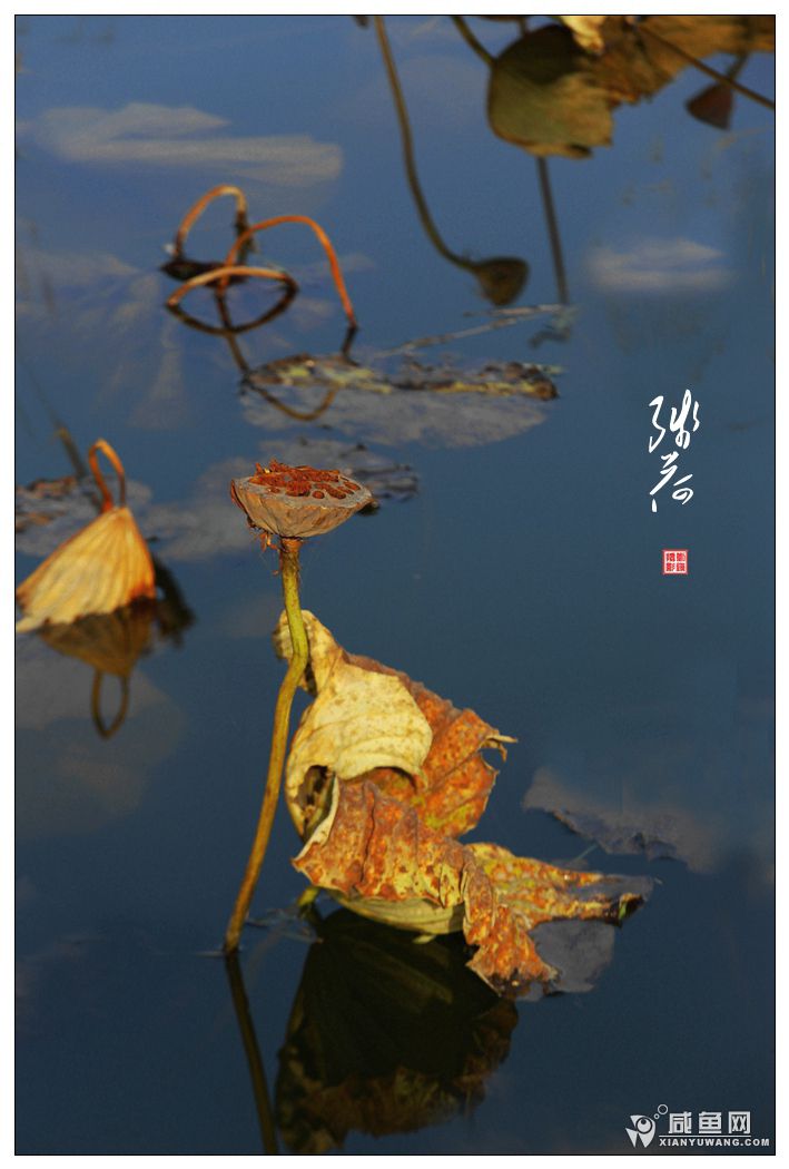 2Y5A3065_副本.jpg