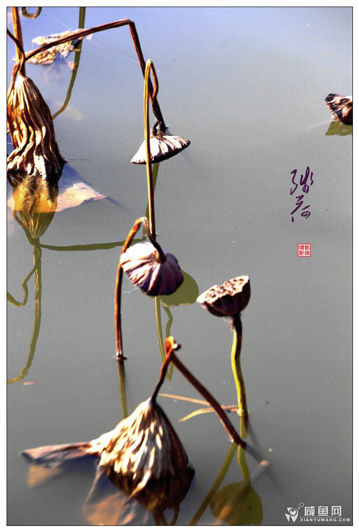 2Y5A2999_副本.jpg