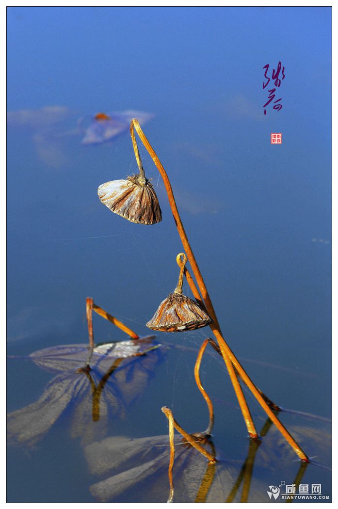 2Y5A3029_副本.jpg
