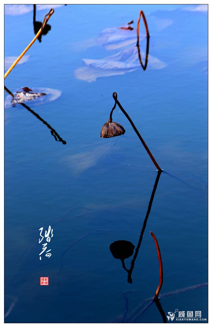 2Y5A3042_副本.jpg
