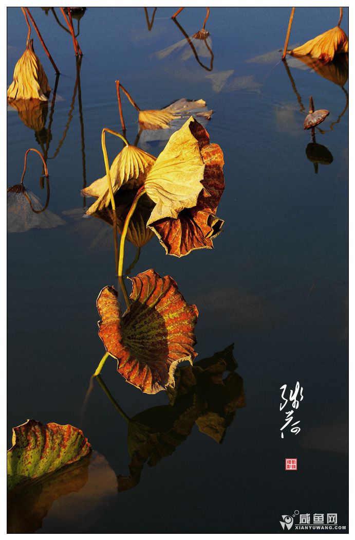 2Y5A3078_副本.jpg