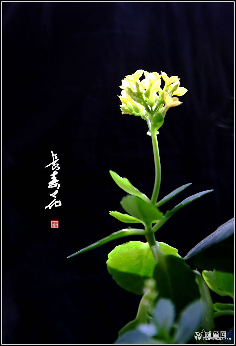 2Y5A5386_副本.jpg