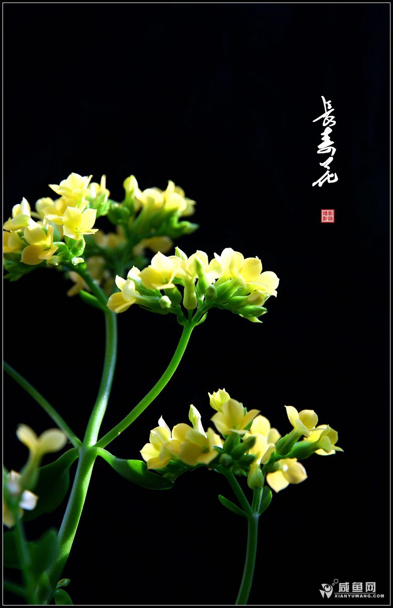 2Y5A5389_副本.jpg