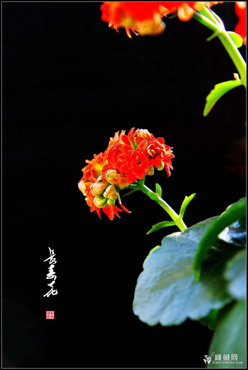 2Y5A5396_副本.jpg