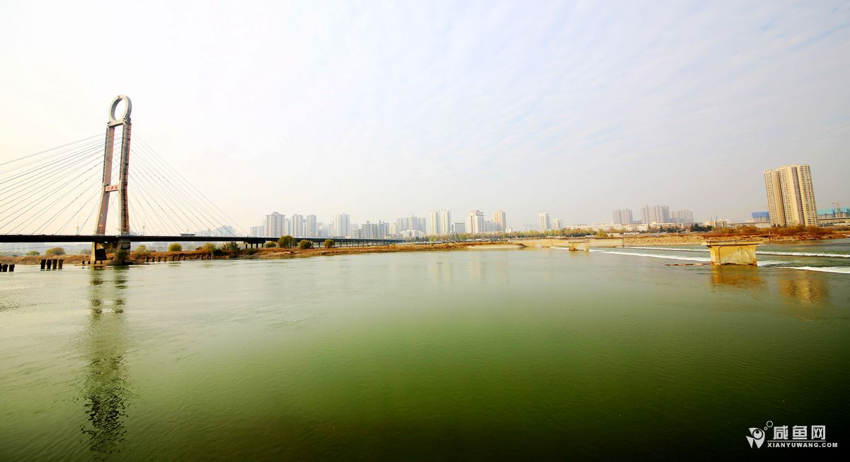 2Y5A4598_副本.jpg