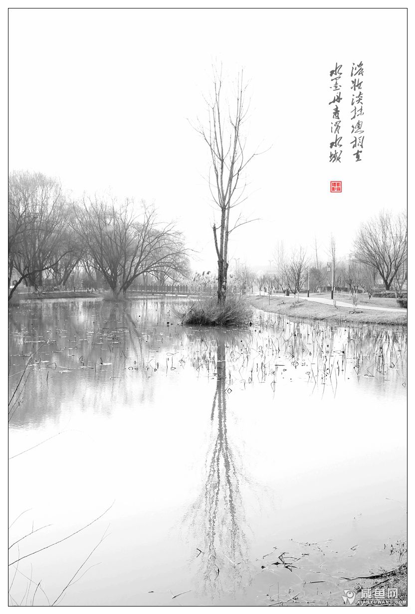 2Y5A5464_副本.jpg
