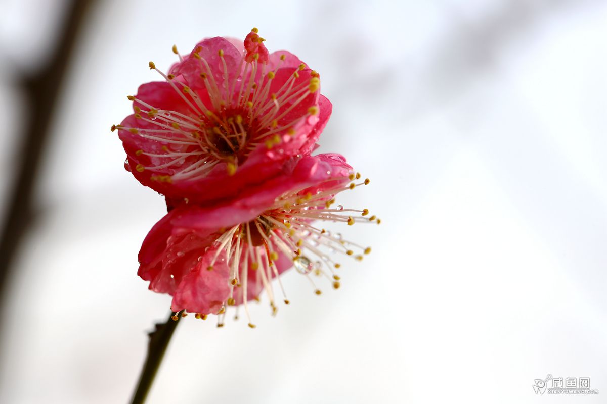 2Y5A9858.JPG