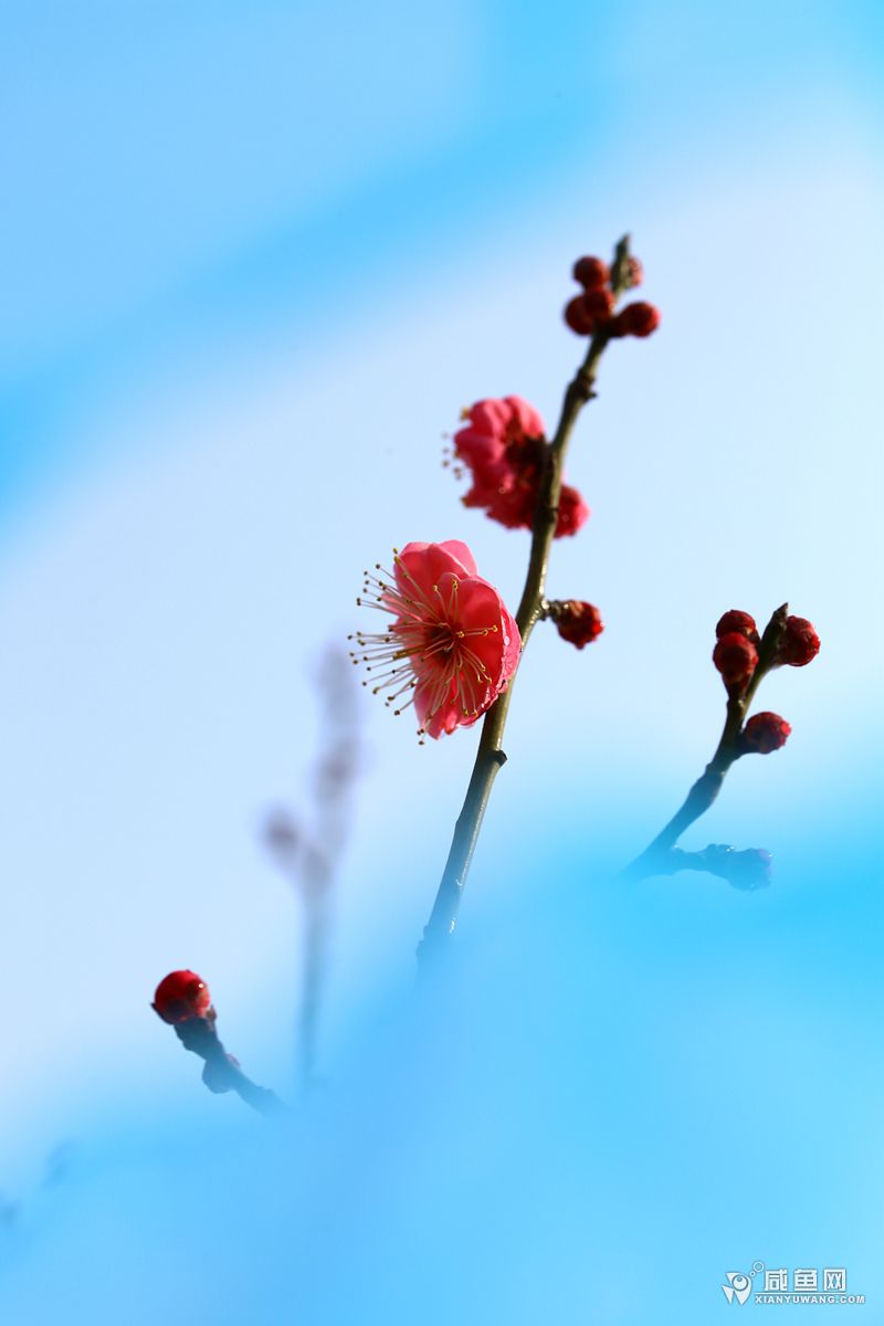 2Y5A9877.JPG