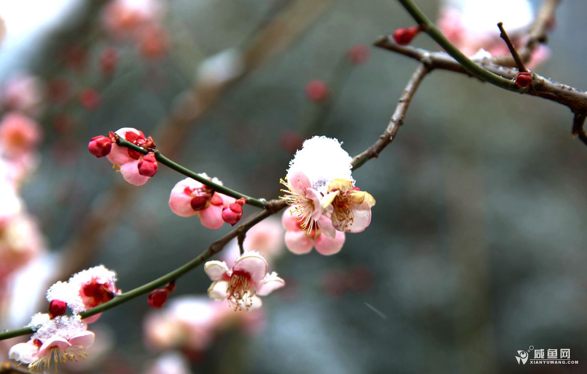 2Y5A5973_副本.jpg