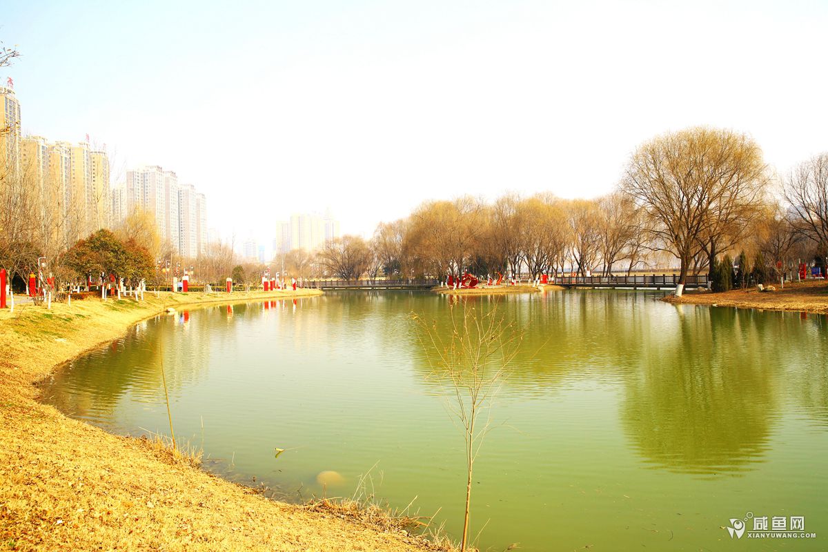 2Y5A5460_副本.jpg