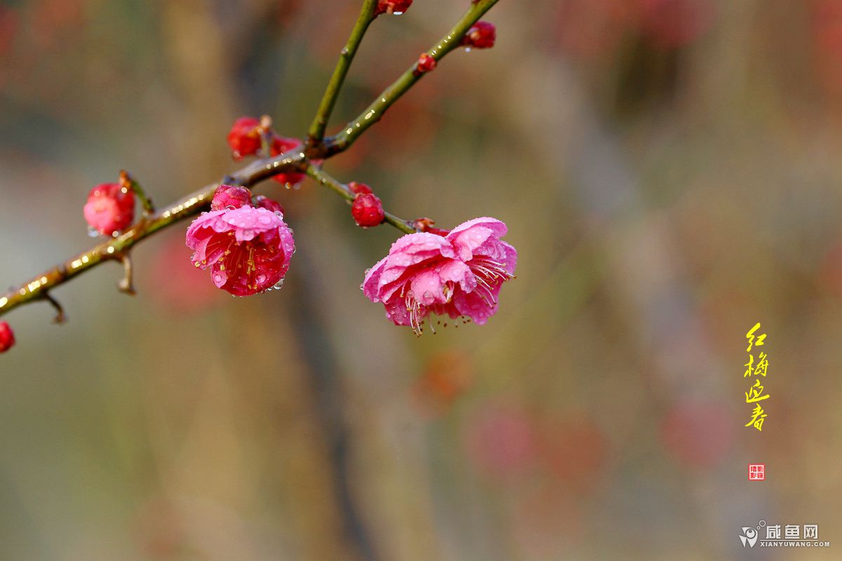 2Y5A5570_副本.jpg