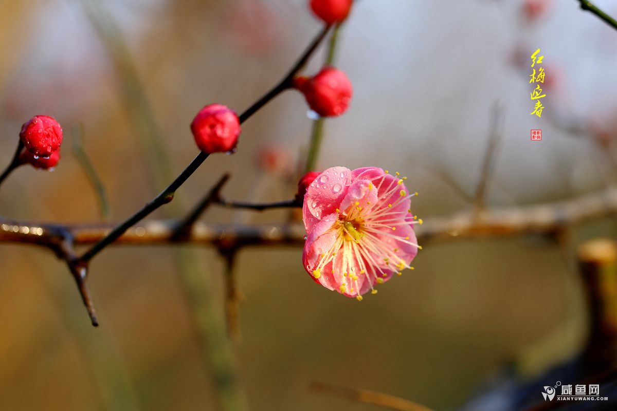 2Y5A5574_副本.jpg