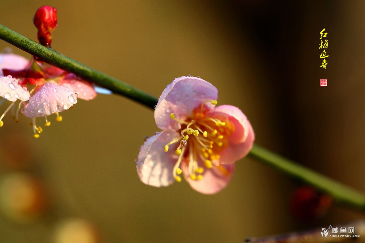 2Y5A5586_副本.jpg