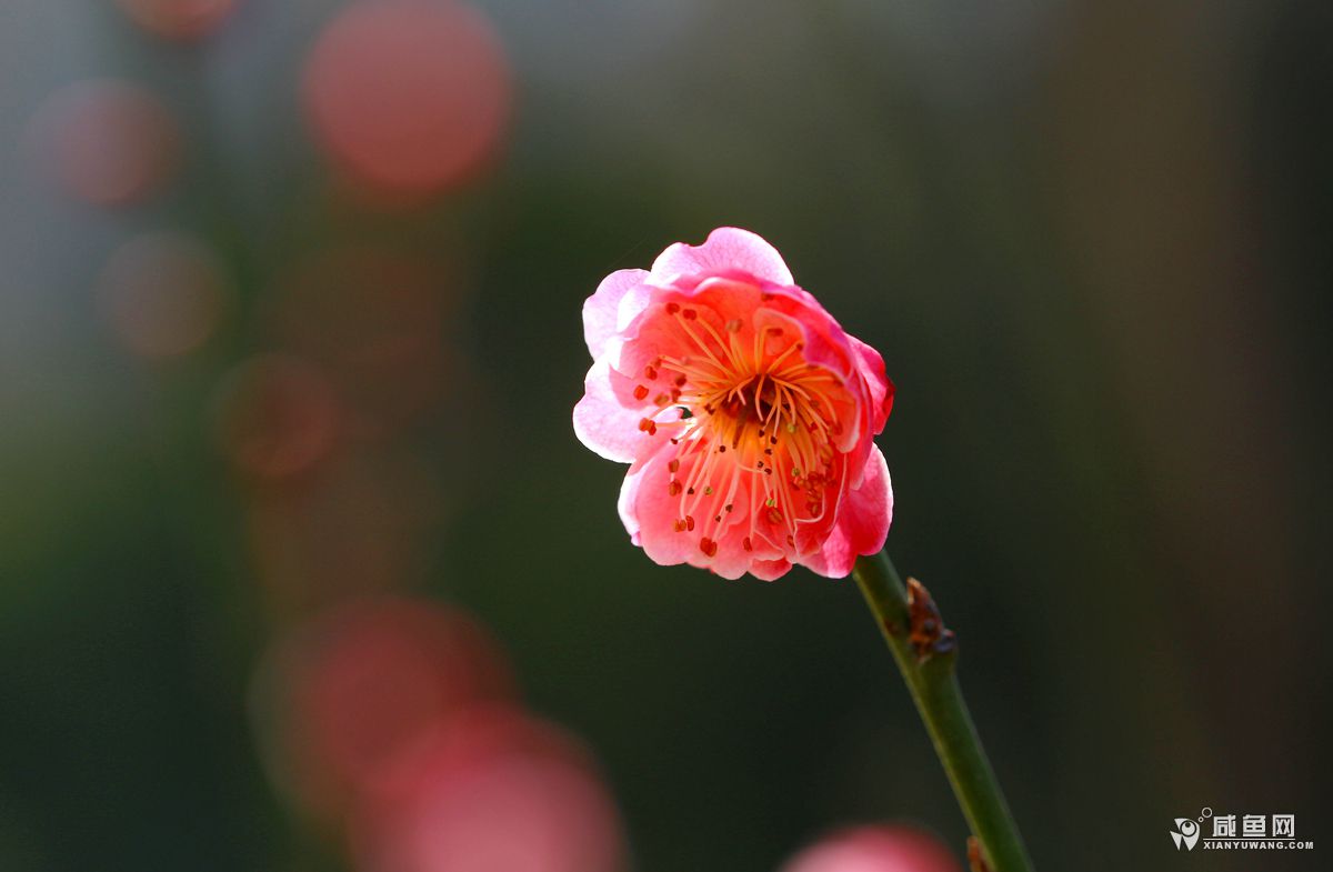 2Y5A8061_副本.jpg