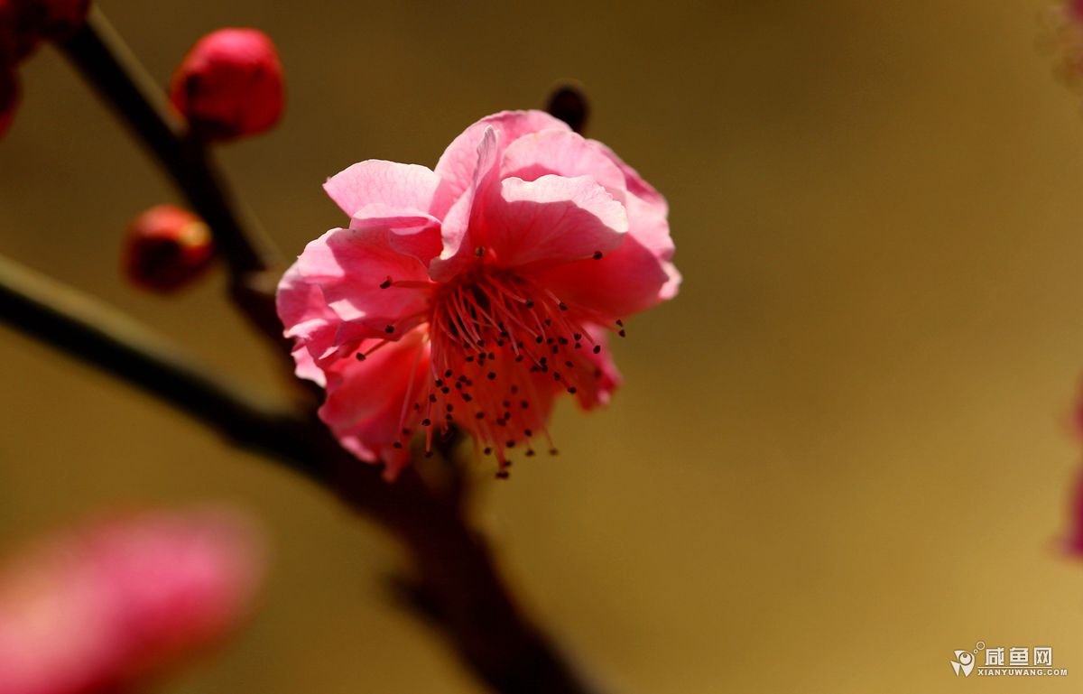 2Y5A8096_副本.jpg