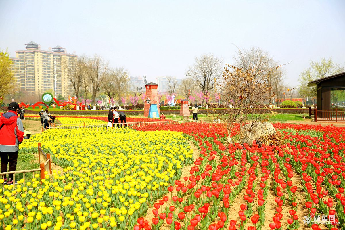 2Y5A9668_副本.jpg