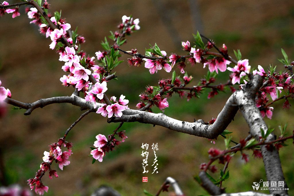 2Y5A6767_副本.jpg