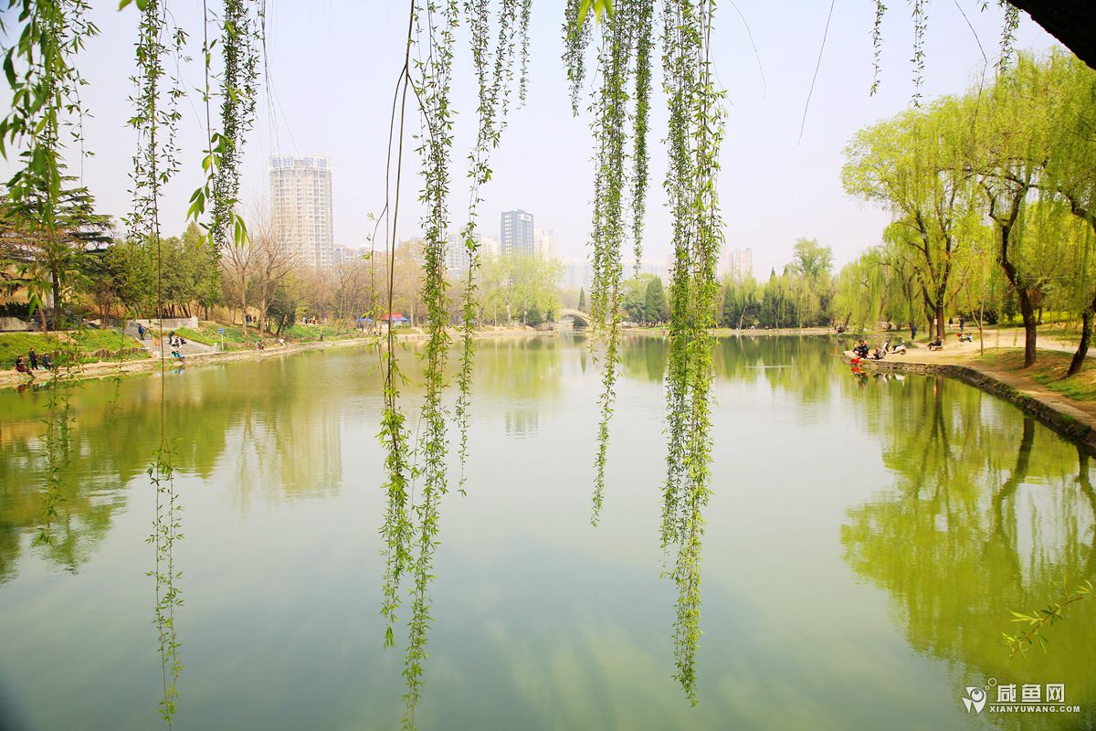 2Y5A9550_副本.jpg