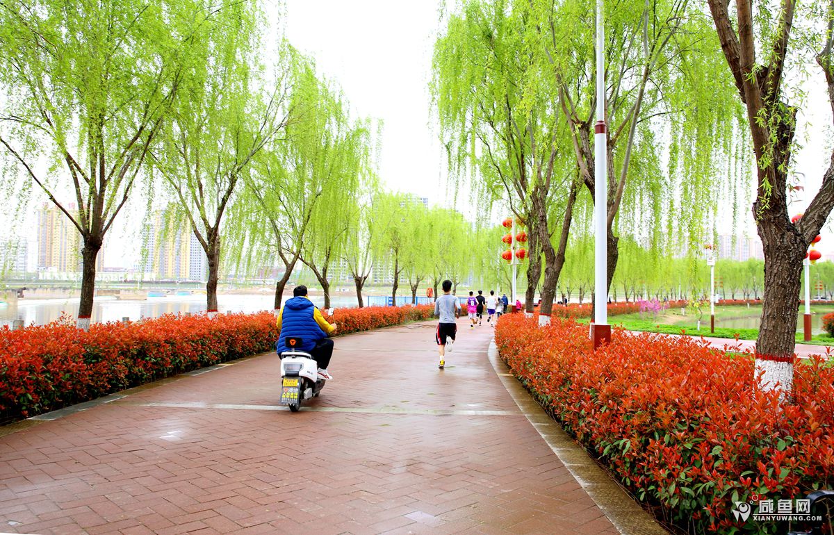 2Y5A9896_副本.jpg