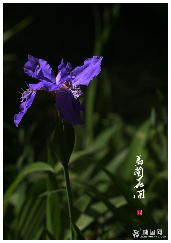 2Y5A0627.JPG