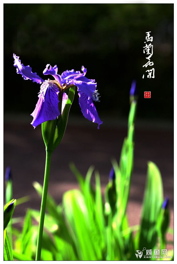 2Y5A0710.JPG