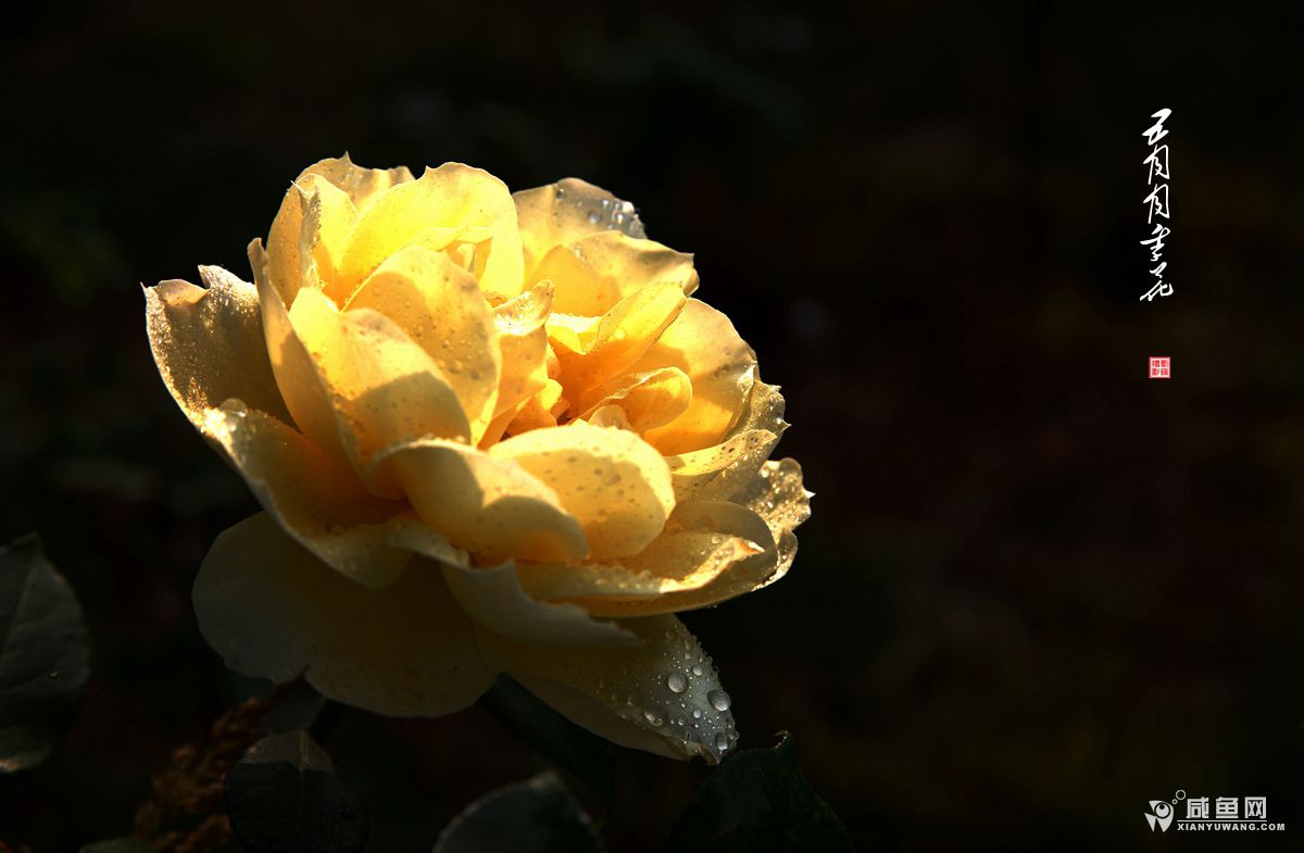 2Y5A2267.JPG