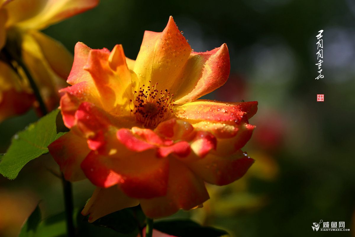 2Y5A2277.JPG