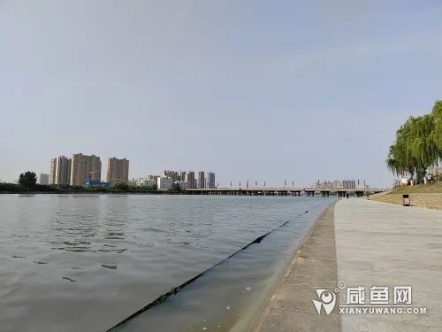 444.jpg