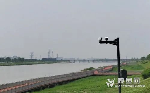 555.jpg