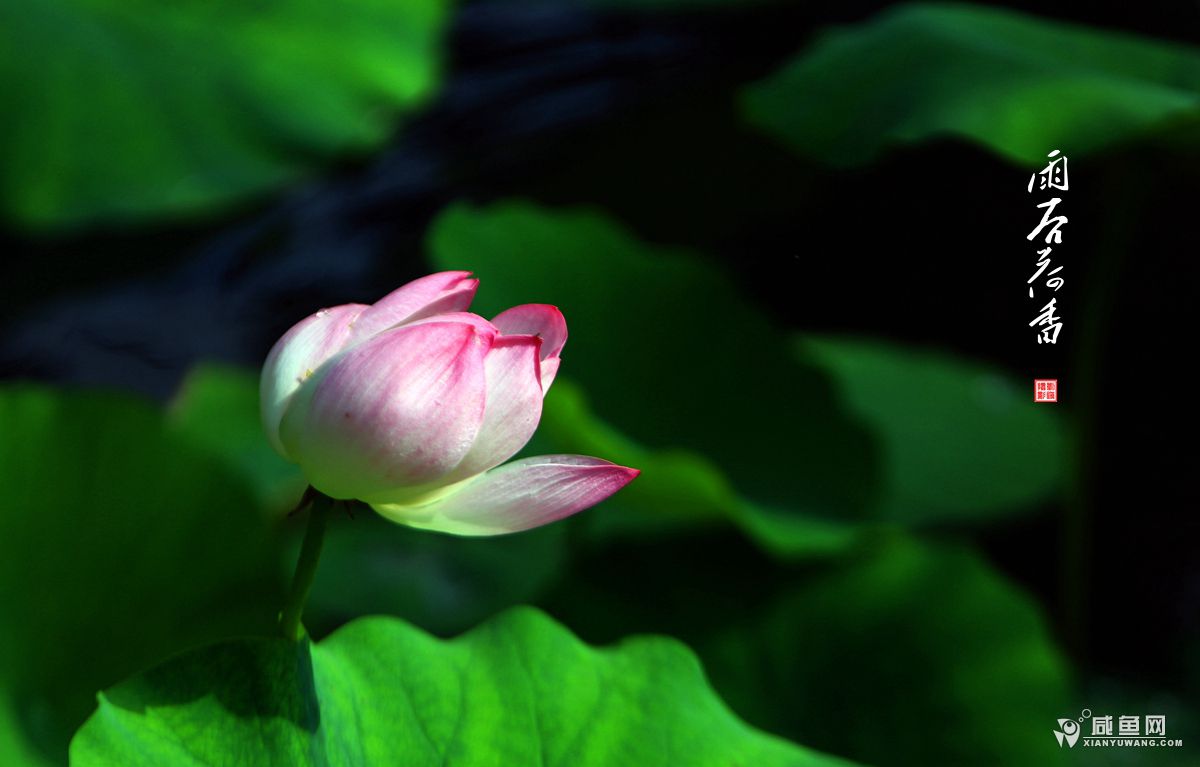 2Y5A6180_副本.jpg
