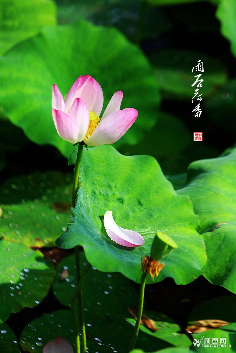 2Y5A6179_副本.jpg