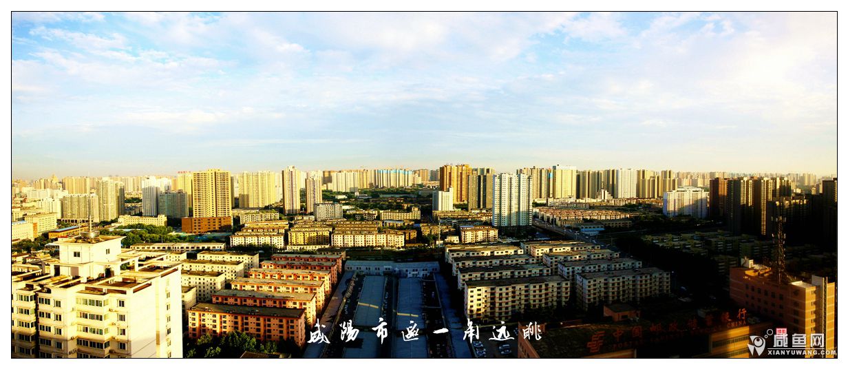 夕阳下的市区.jpg